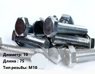 Болт 10х75 М10